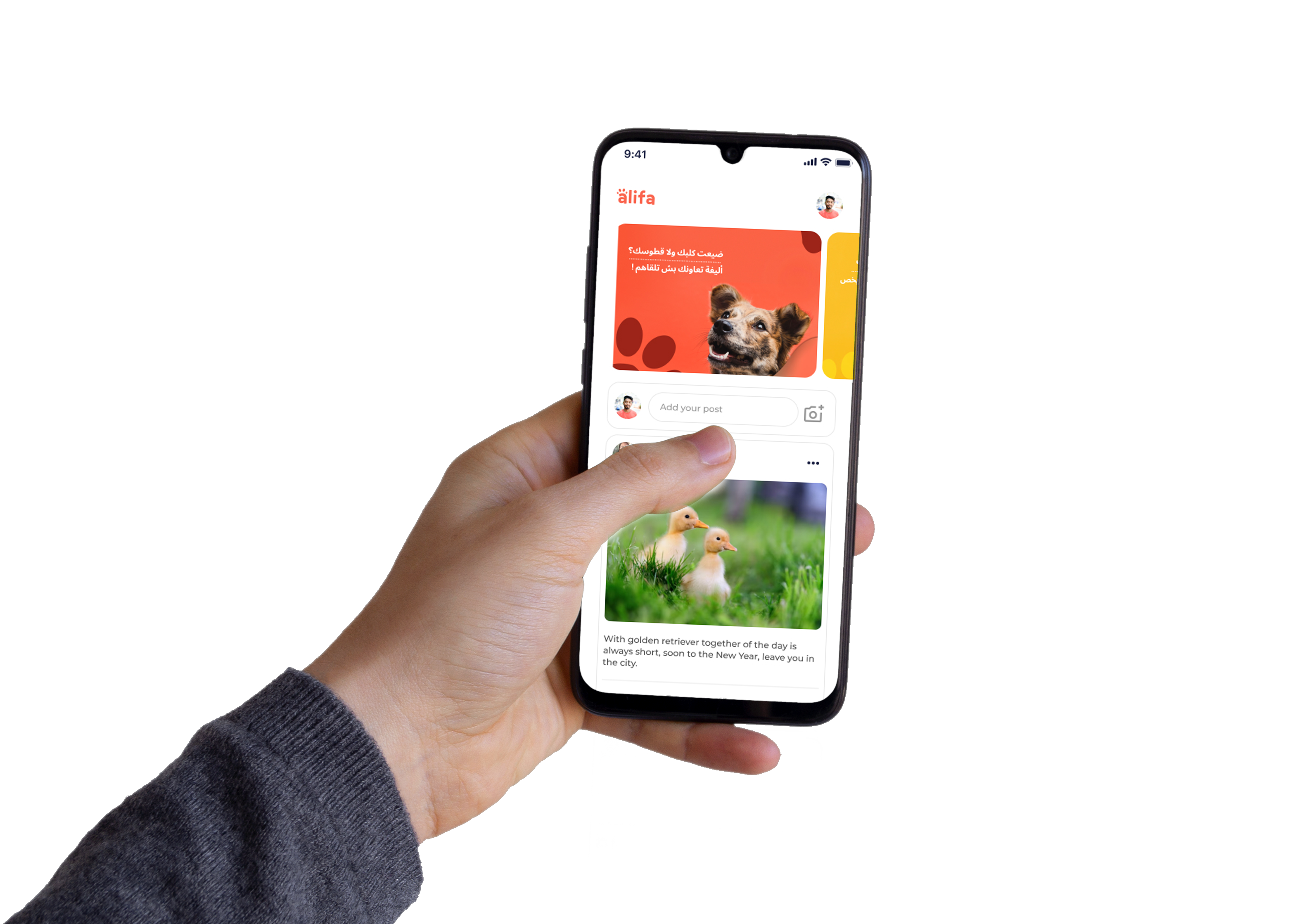 Télécharger l'application